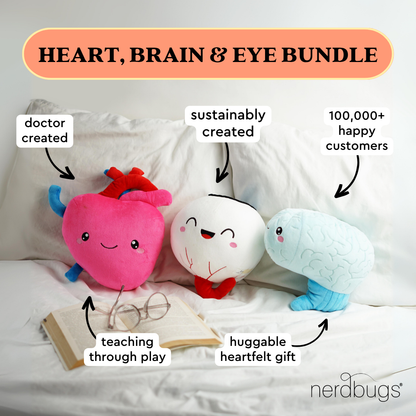 nerbugs heart brain and eye bundle plushies 
