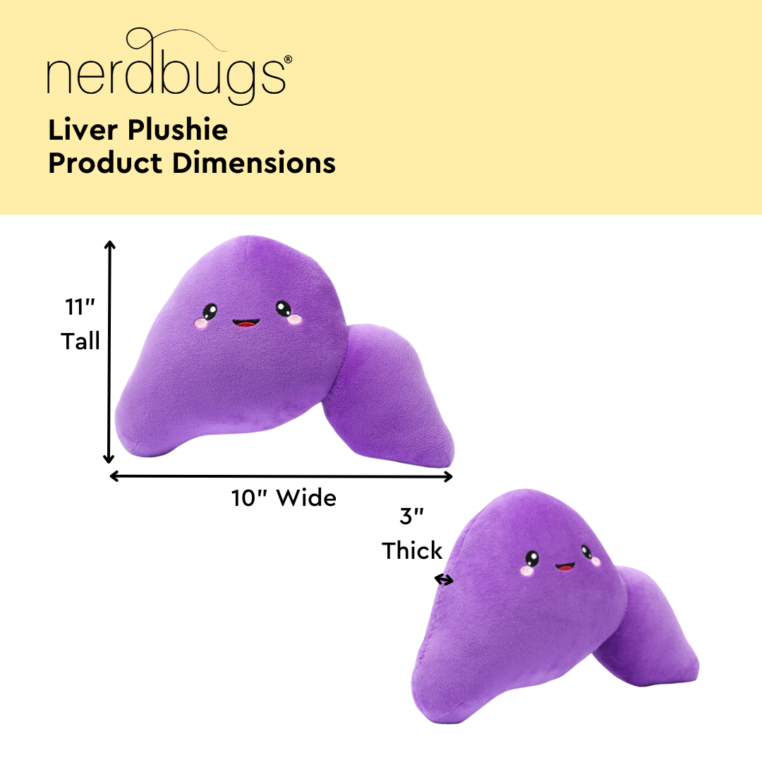 nerdbugs liver plushie product dimensions 11 inches tall 10 inches wide 3 inches thick