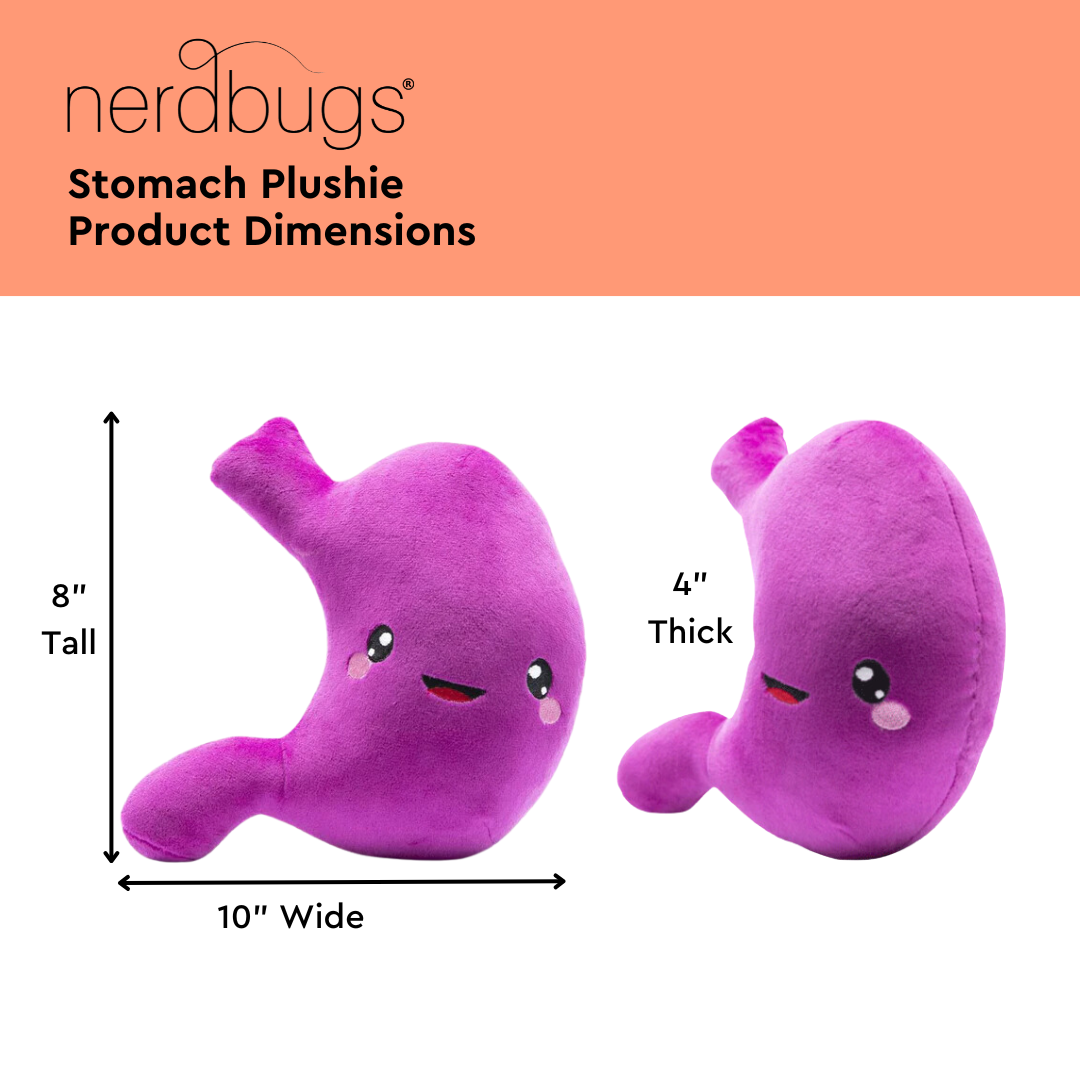 nerdbugs stomach plushie product dimensions 8 inches tall 10 inches wie 4 inches thick