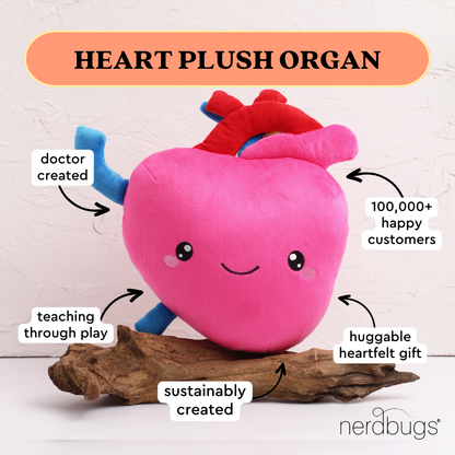 Nerdbugs heart plush organ with labels doctor created teaching through play sustainably created huggable heartfelt gift 100000 plus happy customers