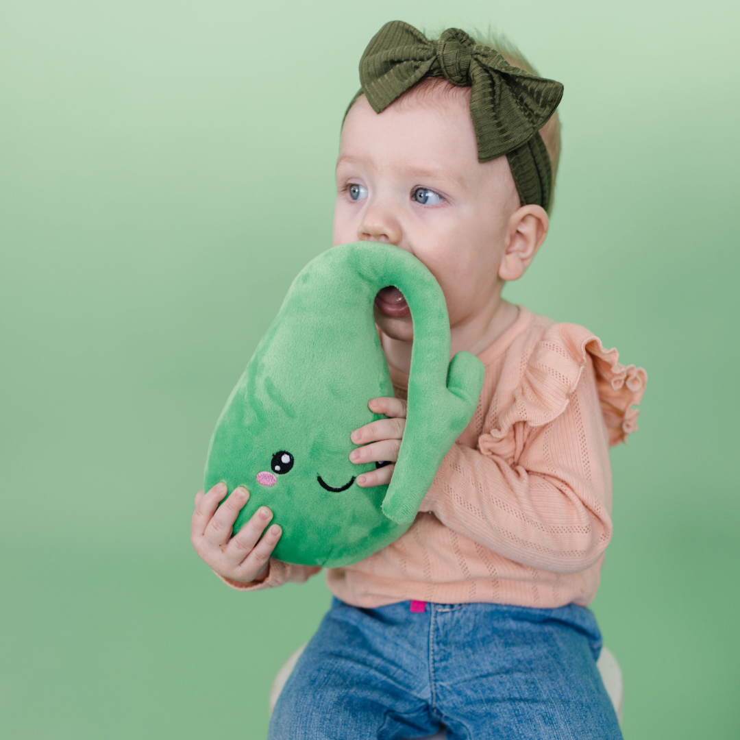 A baby wearing a bow holding a nerdbugs gallbladder plushie organ