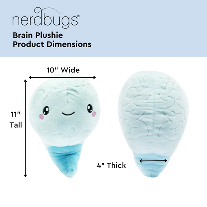 Nerdbugs Brain Product Dimensions, 11' Tall, 10" Wide, 4" Thick