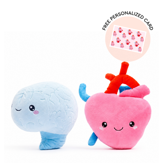 Brain + Heart Bundle - Plushie Bundle