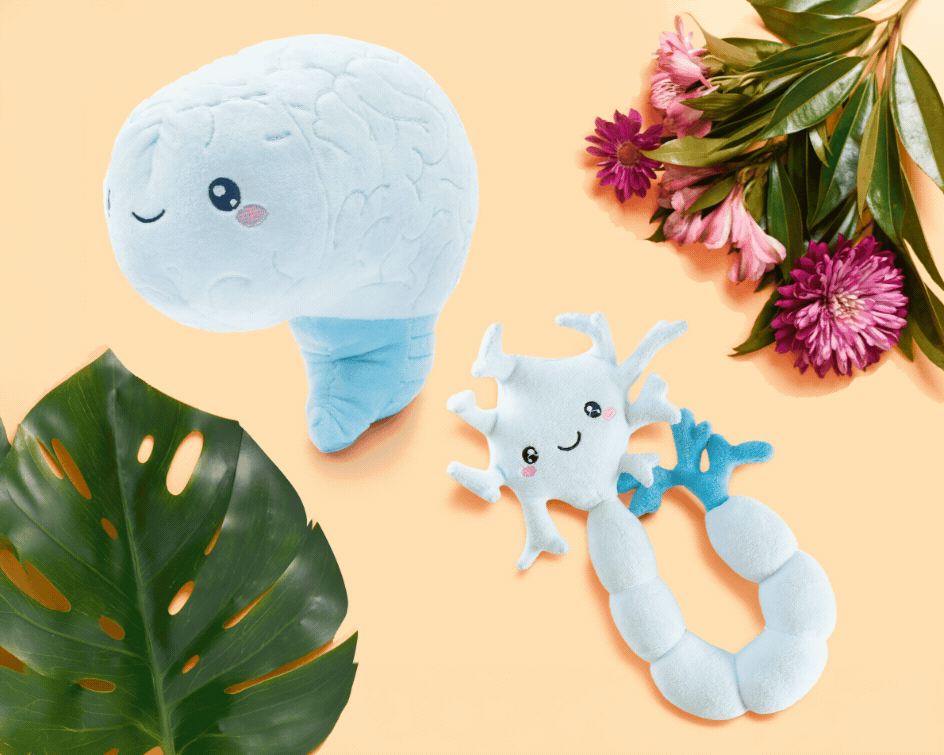 Nerdbugs Neuron + Brain Bundle