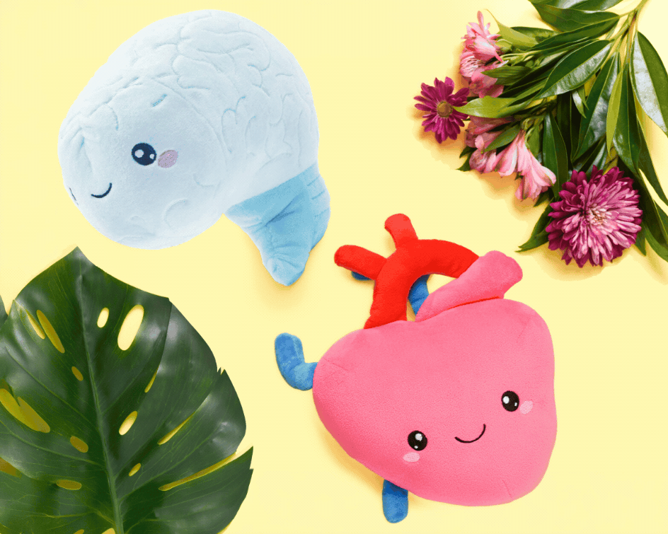Nerdbugs Brain + Heart Bundle
