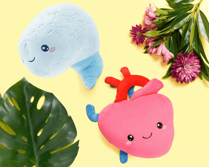 Nerdbugs Brain + Heart Bundle