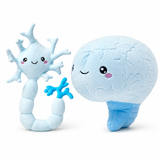 Nerdbugs Neuron + Brain Bundle