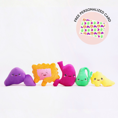 Digestive System Bundle - Smells Like Digestive Spirit