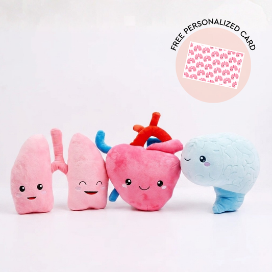 Heart, Lungs & Brain Bundle - The Essentials Bundle