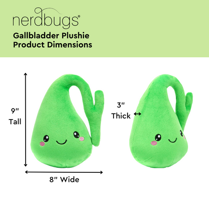 Nerdbugs Gallbladder Product Dimensions, 9" Tall, 8" Wide, 3" Thick