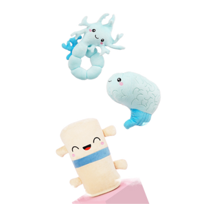 Not sure where to start?