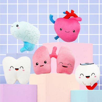 Tooth, Brain, Heart, Lungs and Eye Plushie strategically place for a photo