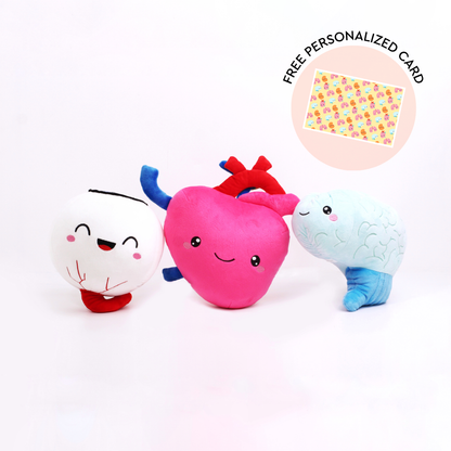 Heart, Brain, & Eye Bundle - The Head & Heart Bundle
