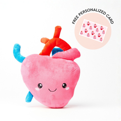 Heart Plush Organ  - I aorta to tell you how much I love you