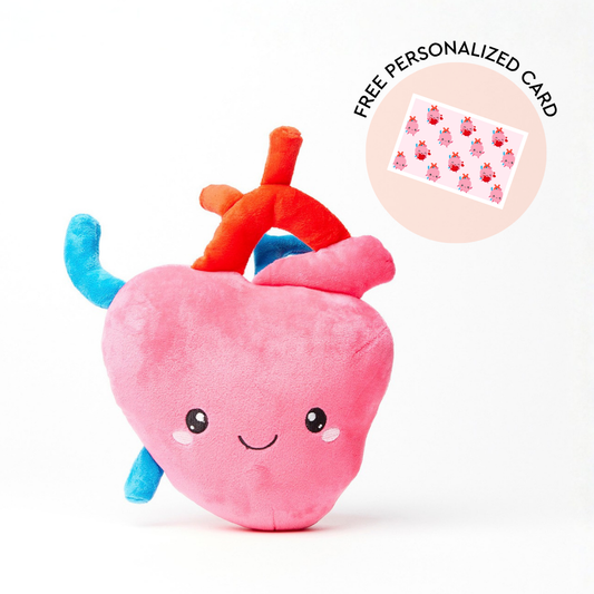 Heart Plush Organ  - I aorta to tell you how much I love you