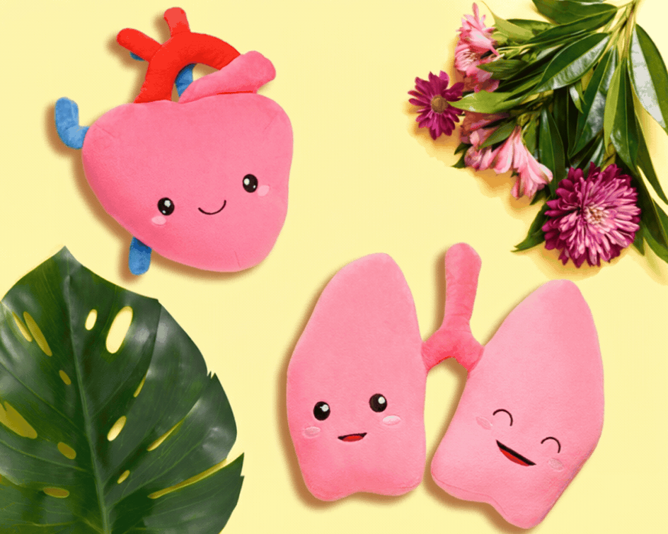 Nerdbugs Heart + Lung Bundle