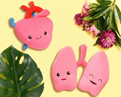 Nerdbugs Heart + Lung Bundle