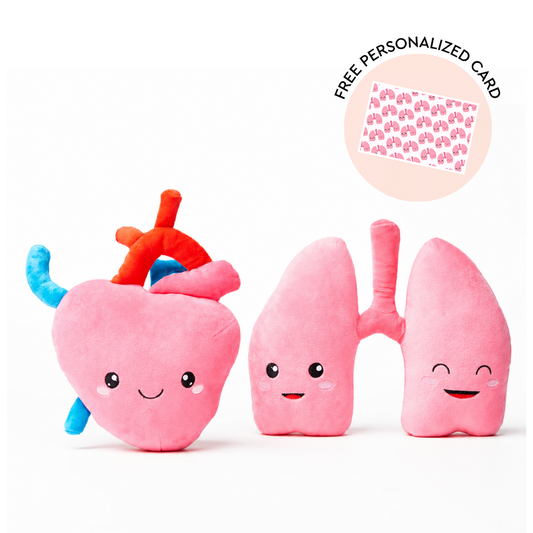 Heart + Lung Bundle - Plushie Bundle