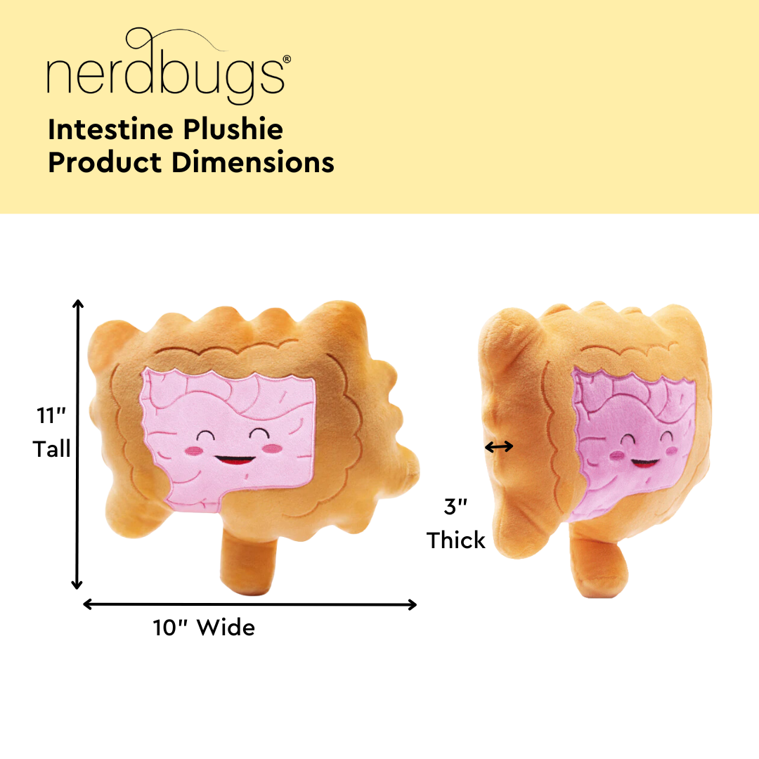 Nerdbugs Intestine Product Dimensions, 11" Tall, 10" Wide, 3" Thick