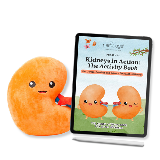 Kidney Plush Learning Activity Kit (Plushie + Digital Download)