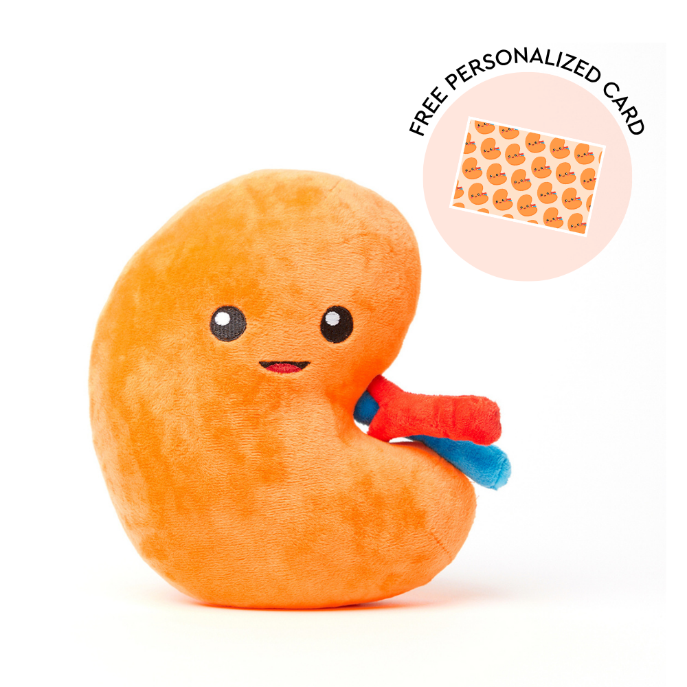 Kidney Plush Organ - Urine for a treat!