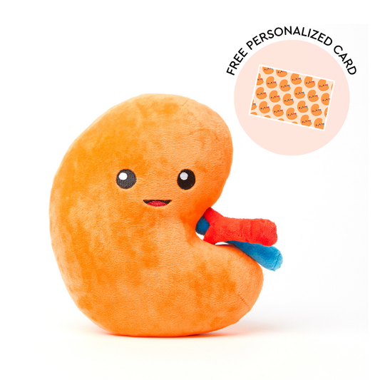 Kidney Plush Organ - Urine for a treat!
