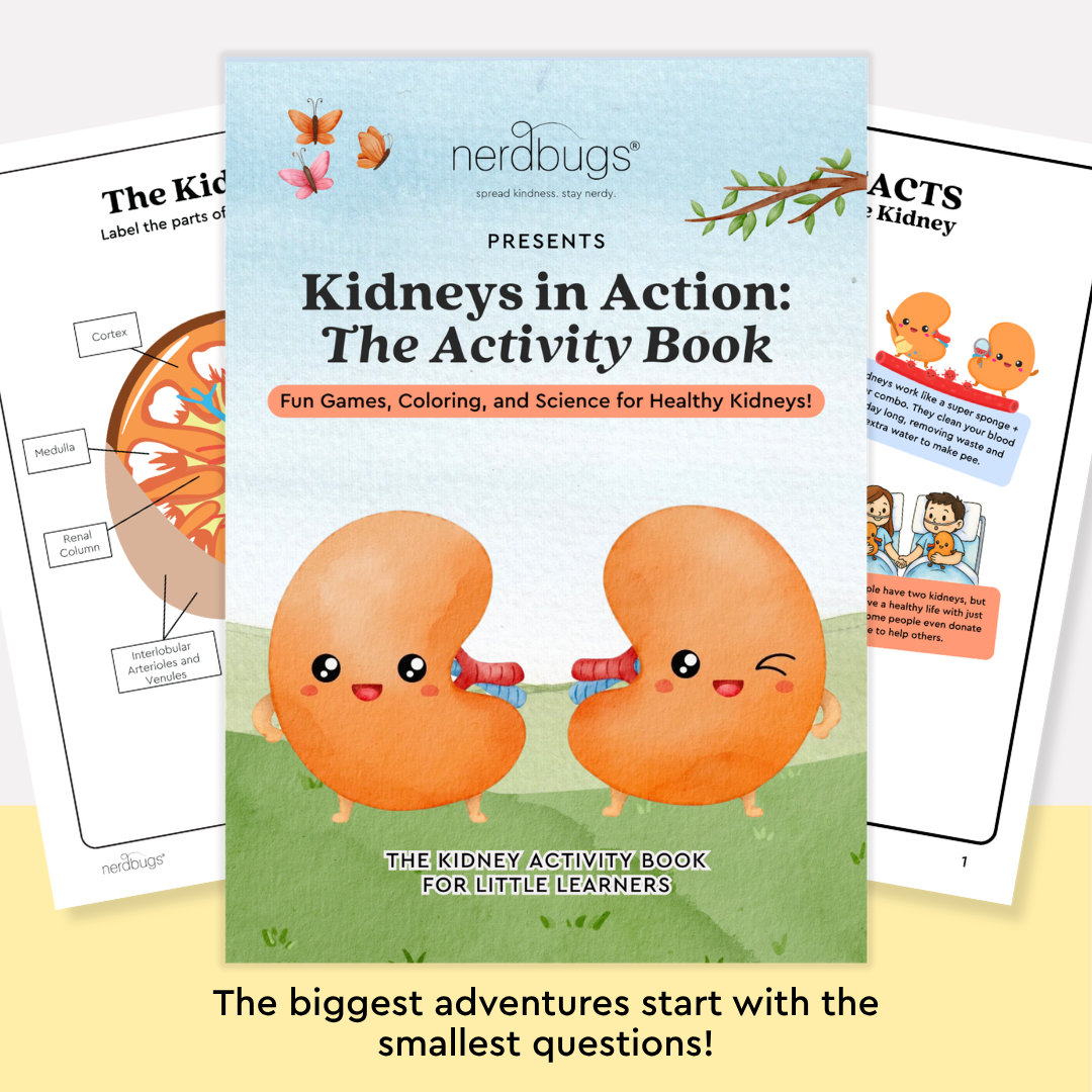 Kidney Plush Learning Activity Kit (Plushie + Digital Download)
