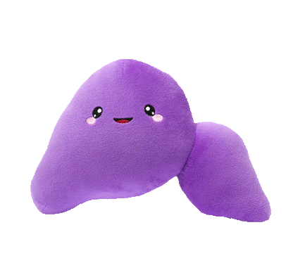 Liver Plush Learning Activity Kit (Plushie + Digital Download)
