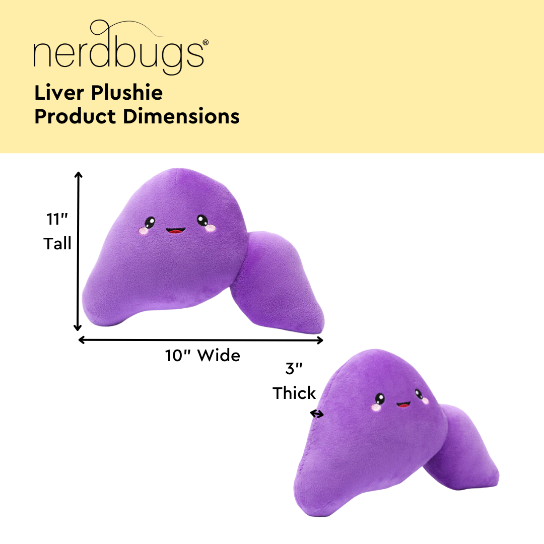 Nerdbugs Liver Product Dimensions, 11" Tall, 10" Wide, 3" Thick0