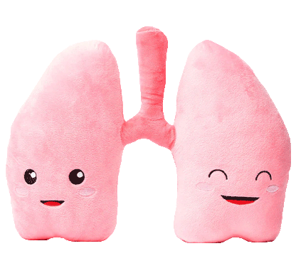 Nerdbugs Heart + Lung Bundle