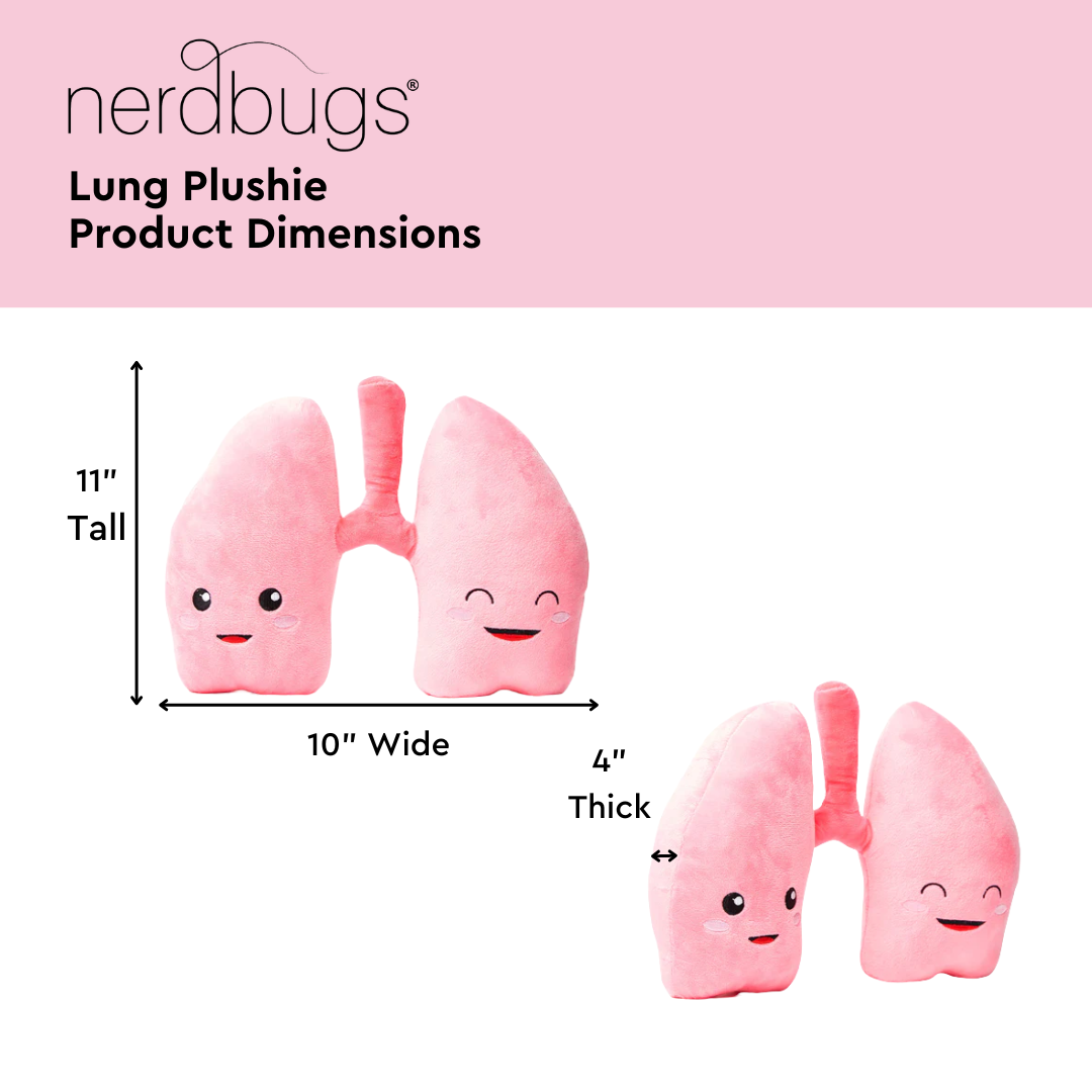 Nerdbugs Lung Product Dimensions, 11" Tall, 10" Wide, 4" Thick