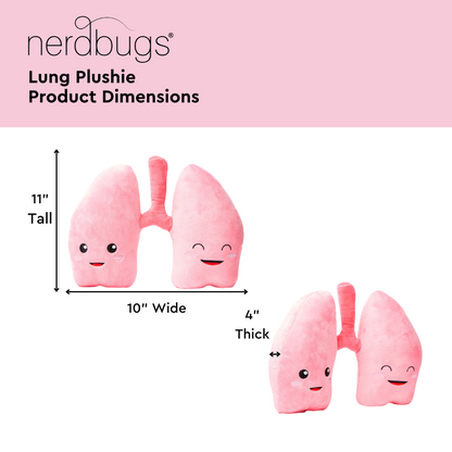 Heart, Lungs & Brain Bundle - The Essentials Bundle