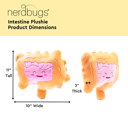 Intestines Plush Organ - Nerdbugs Colon/Intestine Plushie Organ - Intestined for Greatness!