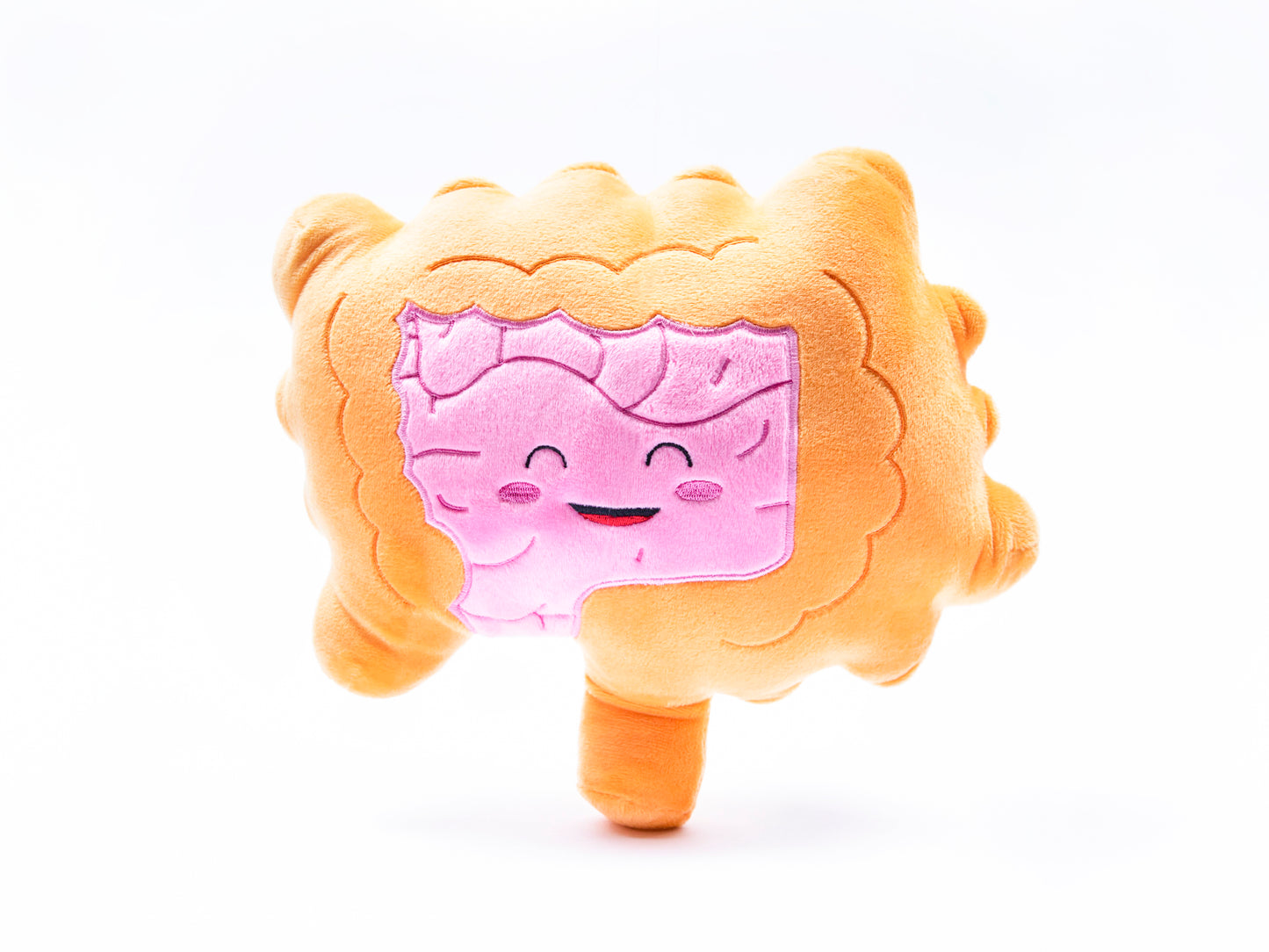 Intestines Plush Organ - Nerdbugs Colon/Intestine Plushie Organ - Intestined for Greatness!