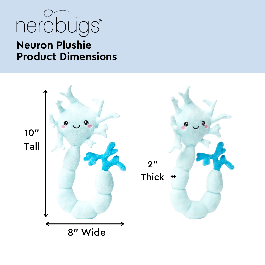 Nerdbugs Neuron Product Dimensions, 10" Tall, 8" Wide, 2" Thick