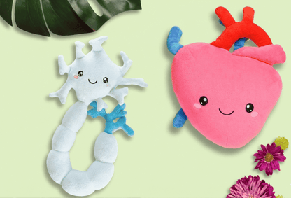Nerdbugs Heart + Neuron Bundle