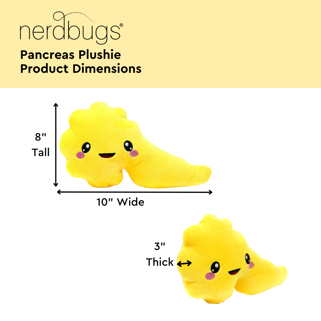 Nerdbugs Pancreas Product Dimensions, 8" Tall, 10" Wide, 3" Thick