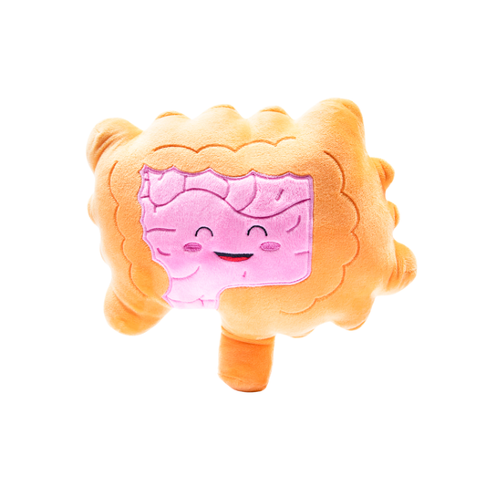 Intestines Plush Organ - Nerdbugs Colon/Intestine Plushie Organ - Intestined for Greatness!