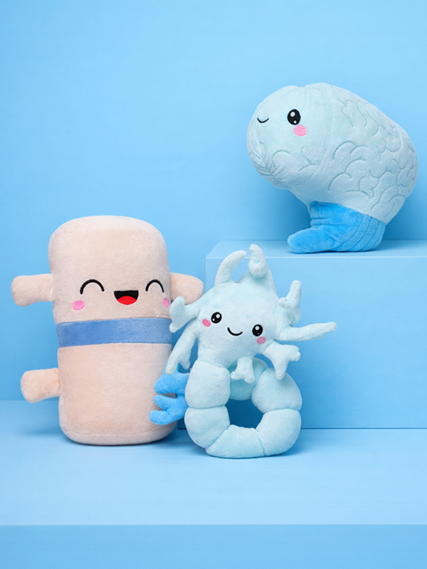 THE BRAINY BUNCH BUNDLE