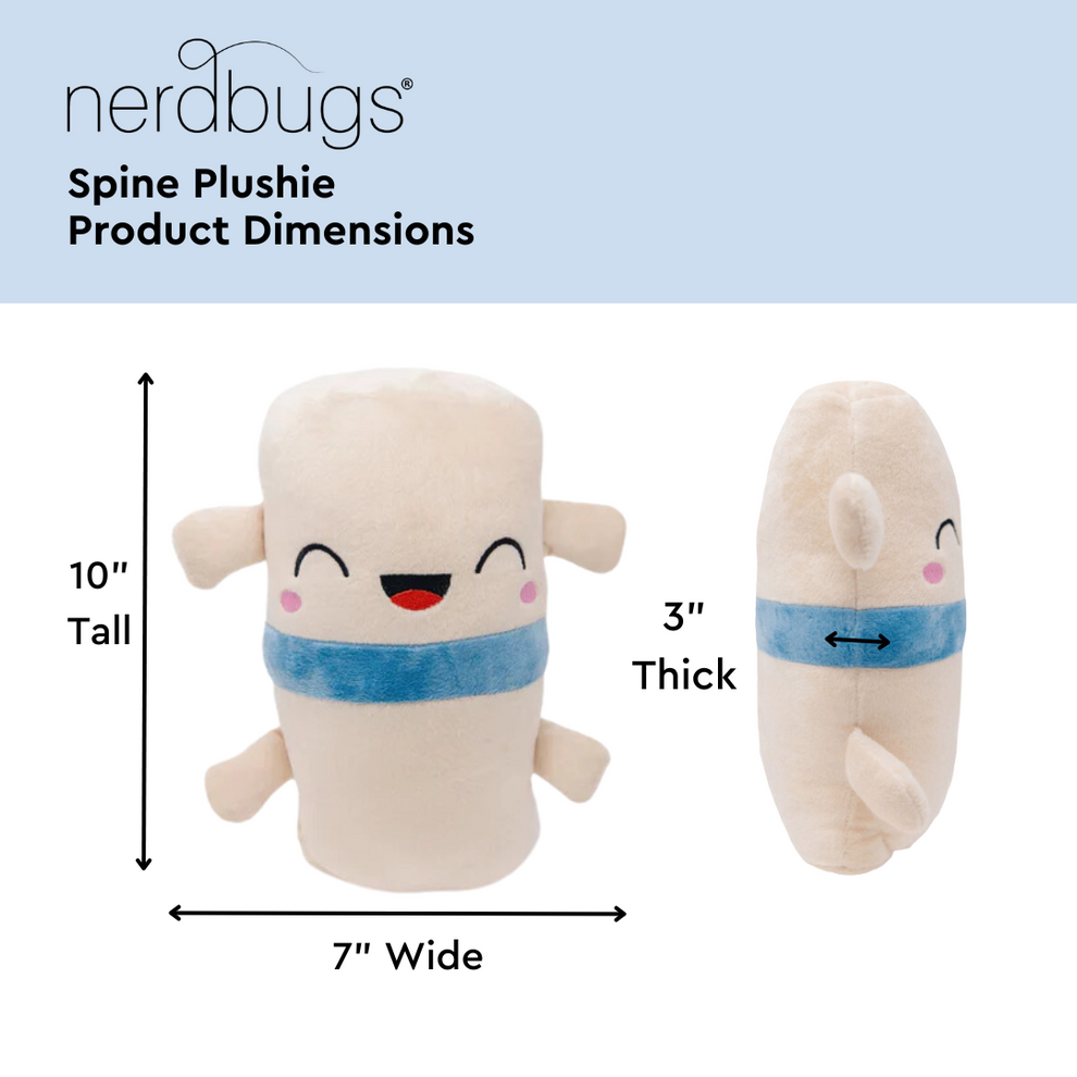 Spine Plush Organ Toys - Spine Plushie Toys & Human Organs Plush Toy ...