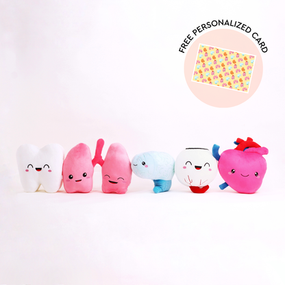 Heart, Lungs, Brain, Eye & Tooth Bundle - The Starter Pack
