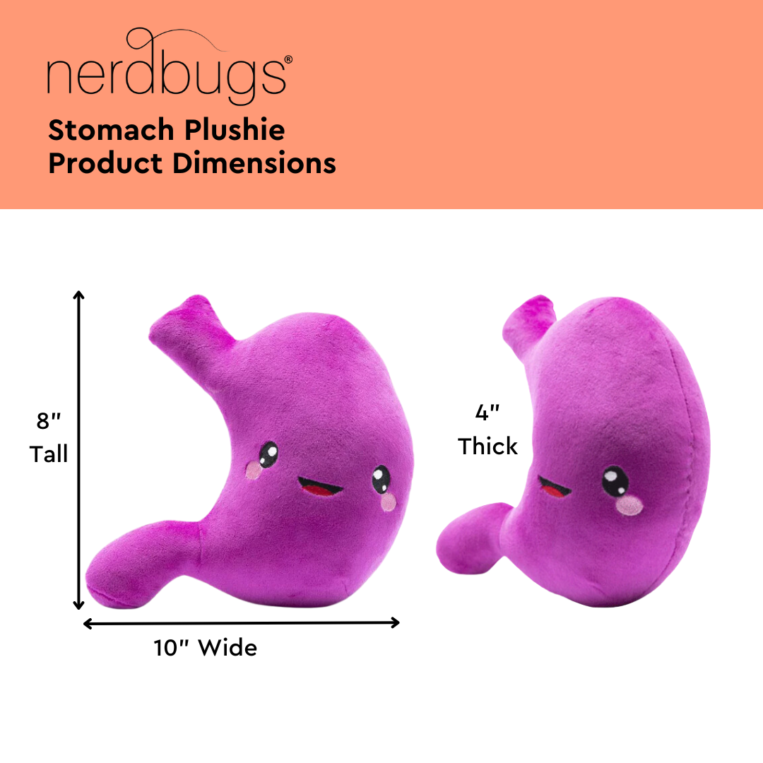 Nerdbugs Stomach Product Dimensions, 8" Tall, 10" Wide, 4" Thick