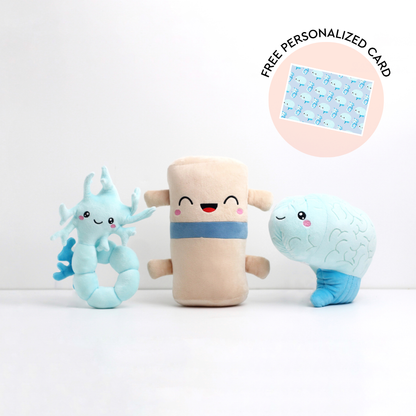 Brain, Neuron, & Spine Bundle - The Brainy Bunch