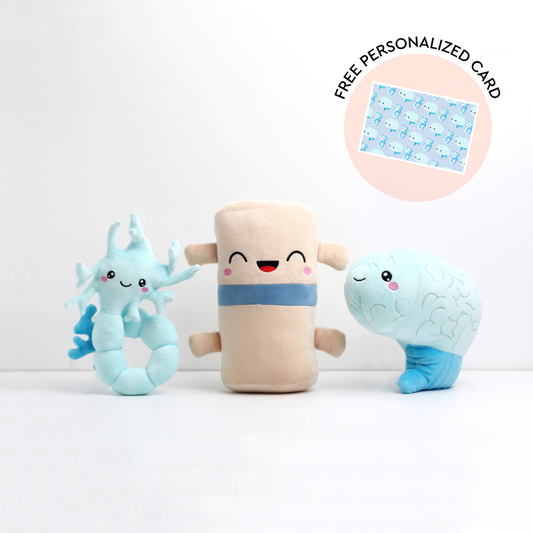 Brain, Neuron, & Spine Bundle - The Brainy Bunch