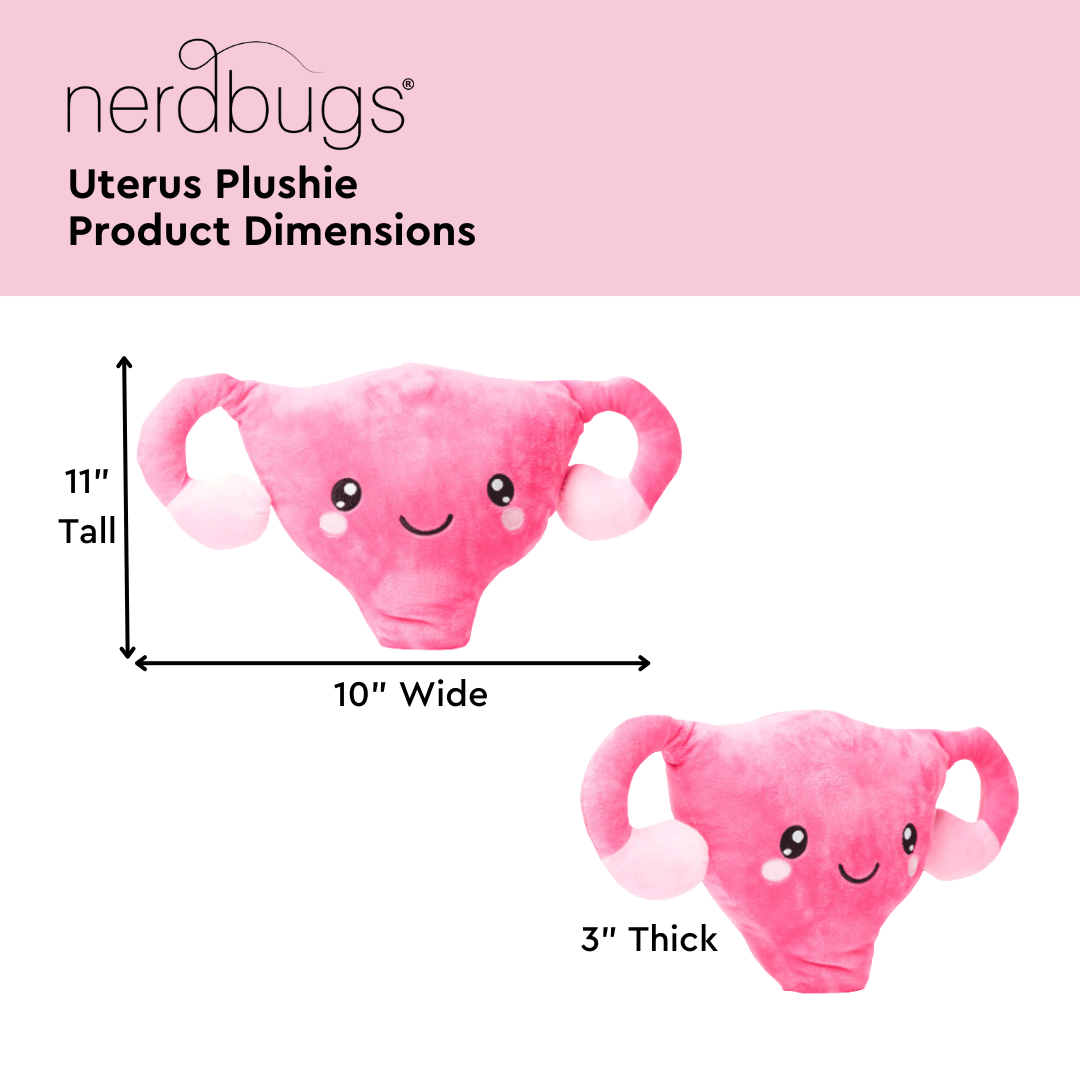 Nerdbugs Uterus Product Dimensions, 11' Tall, 10" Wide, 3" Thick