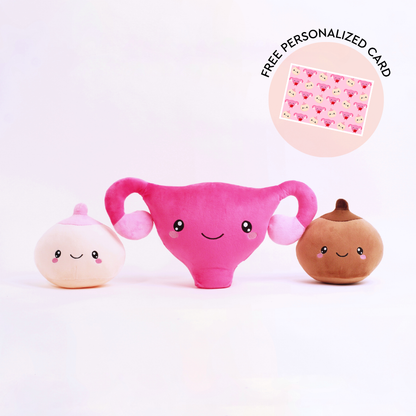 Uterus & Breast Bundle - Breasties for the Resties