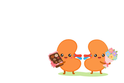 Kidneys Chocolates x Flowers
