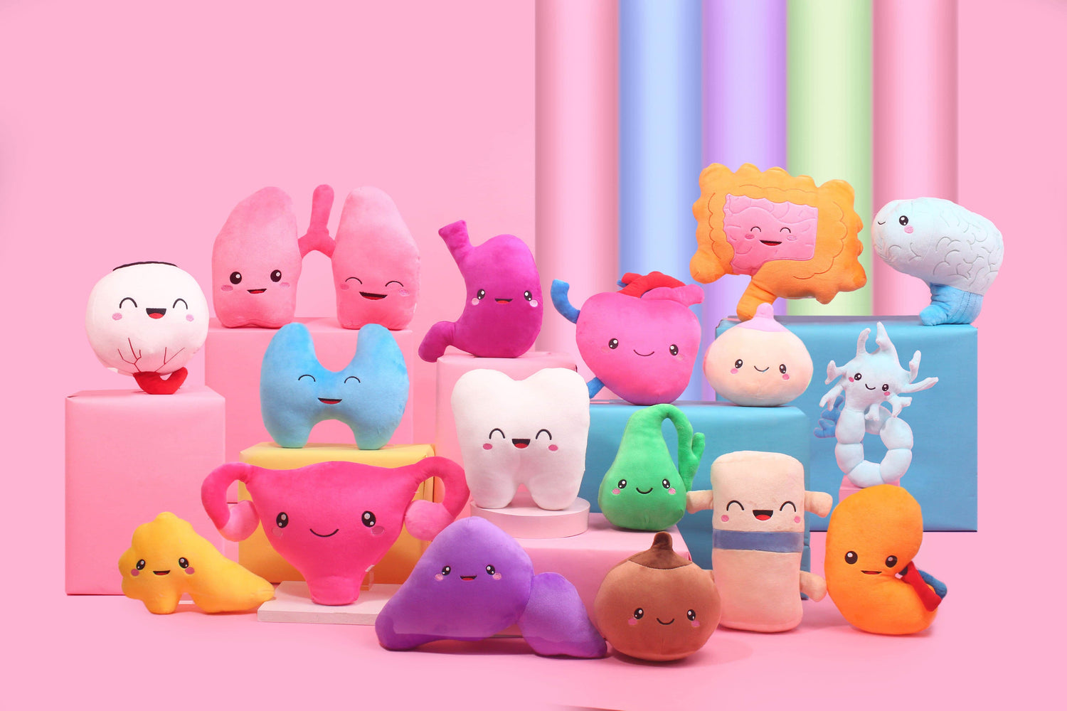 Pink background with different body organ plushies