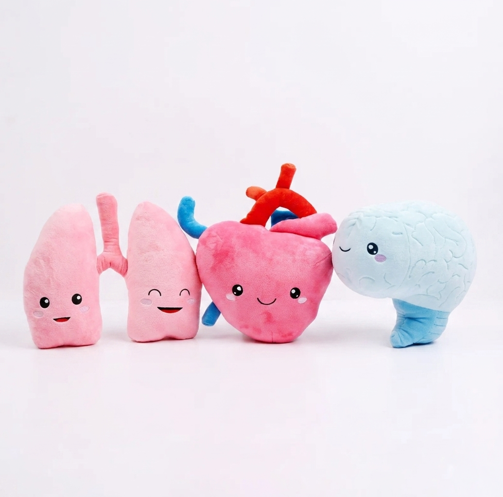 Heart, Lungs & Brain Bundle - The Essentials Bundle