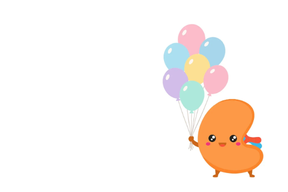 Kidney - Balloons